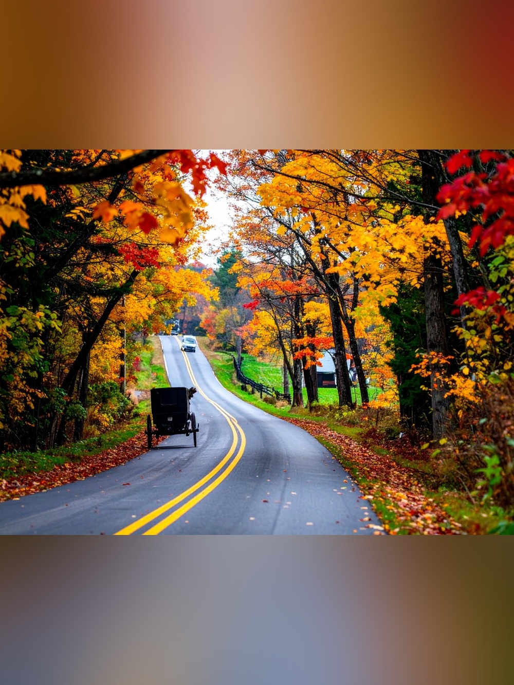 Autumn Road Fall Foliage Photography Print - Orange and Red